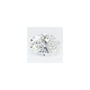 1.70 ct Oval Lab-Grown Diamond – D VVS1 – Faceted Cut – GCAL Certified — Sapphire Row