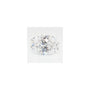 1.70 ct Oval Lab-Grown Diamond – D VVS2 – Faceted Cut – GCAL Certified — Sapphire Row
