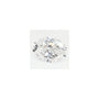 1.70 ct Oval Lab-Grown Diamond – D VVS2 – Faceted Cut – GCAL Certified — Sapphire Row