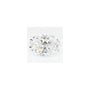 1.59 ct Oval Lab-Grown Diamond – D VVS1 – Faceted Cut – GCAL Certified — Sapphire Row