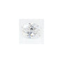 1.70 ct Oval Lab-Grown Diamond – D VVS2 – Faceted Cut – GCAL Certified — Sapphire Row