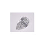 1.59 ct Pear Lab-Grown Diamond – E VVS2 – Faceted Cut – IGI Certified — Sapphire Row
