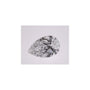 1.57 ct Pear Lab-Grown Diamond – E VS1 – Faceted Cut – IGI Certified — Sapphire Row