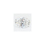 2.02 ct Oval Lab-Grown Diamond – D VVS2 – Faceted Cut – GCAL Certified — Sapphire Row
