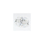 2.06 ct Oval Lab-Grown Diamond – D VVS2 – Faceted Cut – GCAL Certified — Sapphire Row