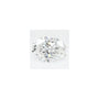 1.98 ct Oval Lab-Grown Diamond – D VVS1 – Faceted Cut – GCAL Certified — Sapphire Row