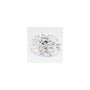 2.07 ct Oval Lab-Grown Diamond – D VVS2 – Faceted Cut – GCAL Certified — Sapphire Row