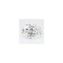 2.83 ct Oval Lab-Grown Diamond – D VVS2 – Faceted Cut – GCAL Certified — Sapphire Row