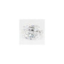 2.50 ct Oval Lab-Grown Diamond – D VVS2 – Faceted Cut – GCAL Certified — Sapphire Row
