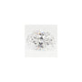 2.81 ct Oval Lab-Grown Diamond – D VVS1 – Faceted Cut – GCAL Certified — Sapphire Row