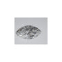 1.40 ct Marquise Lab-Grown Diamond – E VVS2 – Faceted Cut – IGI Certified — Sapphire Row