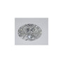 2.01 ct Oval Natural Diamond – G SI2 – Faceted Cut – GIA Certified — Sapphire Row