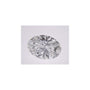 2.59 ct Oval Lab-Grown Diamond – E VVS2 – Faceted Cut – IGI Certified — Sapphire Row