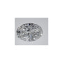2.56 ct Oval Lab-Grown Diamond – D VVS2 – Faceted Cut – IGI Certified — Sapphire Row