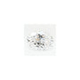 0.94 ct Oval Lab-Grown Diamond – D VVS2 – Faceted Cut – GCAL Certified — Sapphire Row