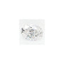 0.77 ct Oval Lab-Grown Diamond – D VVS2 – Faceted Cut – GCAL Certified — Sapphire Row
