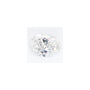 0.70 ct Oval Lab-Grown Diamond – D VS1 – Faceted Cut – GCAL Certified — Sapphire Row