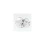 0.77 ct Oval Lab-Grown Diamond – D VVS2 – Faceted Cut – GCAL Certified — Sapphire Row