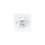 0.93 ct Oval Lab-Grown Diamond – D VVS2 – Faceted Cut – GCAL Certified — Sapphire Row