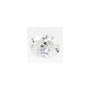 0.95 ct Oval Lab-Grown Diamond – D VVS2 – Faceted Cut – GCAL Certified — Sapphire Row