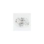 1.02 ct Oval Lab-Grown Diamond – D VVS2 – Faceted Cut – GCAL Certified — Sapphire Row