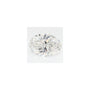 1.42 ct Oval Lab-Grown Diamond – F VS1 – Faceted Cut – GCAL Certified — Sapphire Row