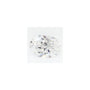 0.71 ct Oval Lab-Grown Diamond – D VVS2 – Faceted Cut – GCAL Certified — Sapphire Row
