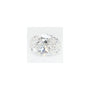 0.73 ct Oval Lab-Grown Diamond – D VVS2 – Faceted Cut – GCAL Certified — Sapphire Row