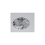 1.04 ct Oval Lab-Grown Diamond – D VVS1 – Faceted Cut – IGI Certified — Sapphire Row