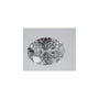 1.04 ct Oval Lab-Grown Diamond – D VVS2 – Faceted Cut – IGI Certified — Sapphire Row