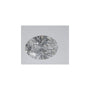 1.07 ct Oval Lab-Grown Diamond – D VVS1 – Faceted Cut – IGI Certified — Sapphire Row
