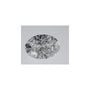 1.23 ct Oval Lab-Grown Diamond – D VVS1 – Faceted Cut – IGI Certified — Sapphire Row