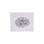 1.46 ct Oval Lab-Grown Diamond – D VS1 – Faceted Cut – IGI Certified — Sapphire Row