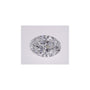 1.54 ct Oval Lab-Grown Diamond – D VVS1 – Faceted Cut – IGI Certified — Sapphire Row