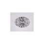 1.54 ct Oval Lab-Grown Diamond – D VVS1 – Faceted Cut – IGI Certified — Sapphire Row