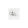 1.02 ct Pear Lab-Grown Diamond – D VS1 – Faceted Cut – GCAL Certified — Sapphire Row