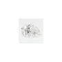 0.79 ct Pear Lab-Grown Diamond – D VVS1 – Faceted Cut – GCAL Certified — Sapphire Row