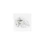 1.39 ct Pear Lab-Grown Diamond – E VVS2 – Faceted Cut – GCAL Certified — Sapphire Row