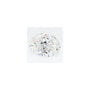 2.53 ct Oval Lab-Grown Diamond – E VVS2 – Faceted Cut – GCAL Certified — Sapphire Row