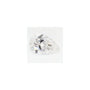 1.23 ct Pear Lab-Grown Diamond – D VVS2 – Faceted Cut – GCAL Certified — Sapphire Row