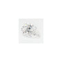 0.77 ct Pear Lab-Grown Diamond – D VVS2 – Faceted Cut – GCAL Certified — Sapphire Row