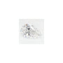 1.02 ct Pear Lab-Grown Diamond – D VS1 – Faceted Cut – GCAL Certified — Sapphire Row