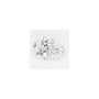0.54 ct Pear Lab-Grown Diamond – D VVS2 – Faceted Cut – GCAL Certified — Sapphire Row