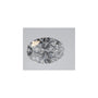 1.02 ct Oval Lab-Grown Diamond – D VVS1 – Faceted Cut – IGI Certified — Sapphire Row