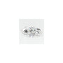0.85 ct Marquise Lab-Grown Diamond – E VVS2 – Faceted Cut – GCAL Certified — Sapphire Row