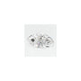 1.01 ct Marquise Lab-Grown Diamond – F VVS2 – Faceted Cut – GCAL Certified — Sapphire Row