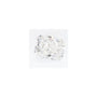 1.04 ct Radiant Lab-Grown Diamond – E VVS1 – Faceted Cut – GCAL Certified — Sapphire Row