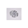 2.70 ct Oval Lab-Grown Diamond – E VVS2 – Faceted Cut – IGI Certified — Sapphire Row