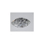 1.03 ct Marquise Lab-Grown Diamond – E VVS2 – Faceted Cut – IGI Certified — Sapphire Row
