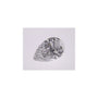 1.01 ct Pear Lab-Grown Diamond – D VVS2 – Faceted Cut – IGI Certified — Sapphire Row